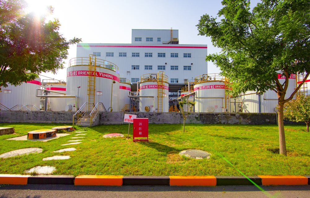 1_240509112752_1 口袋德州官网-口袋德州APP下载